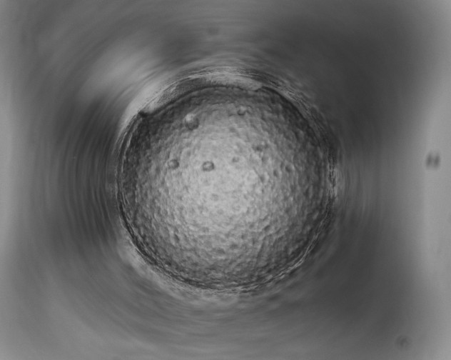 X0000113980004200910021148