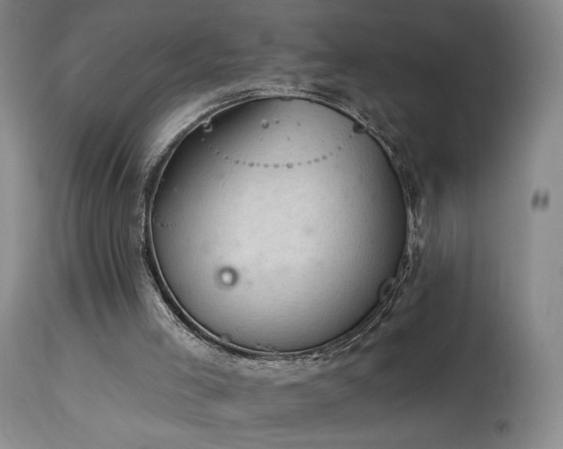 X0000113980005200910021148