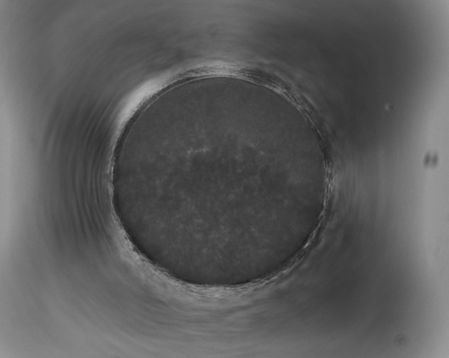 X0000113980006200910021148