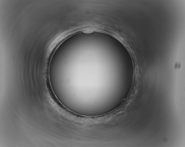 X0000113980007200910021148