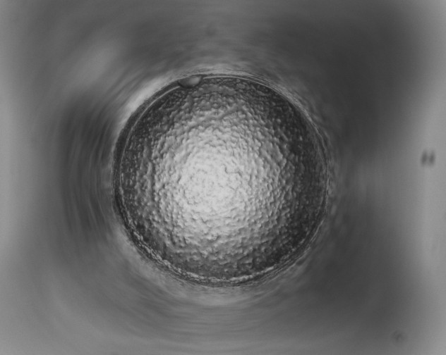 X0000113980008200910021148