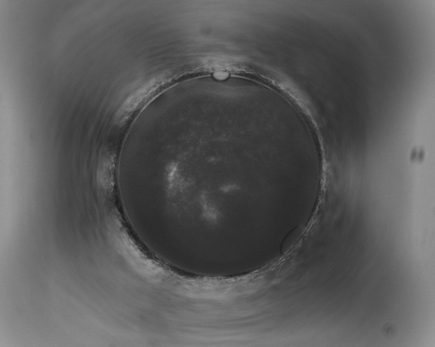 X0000113980009200910021148