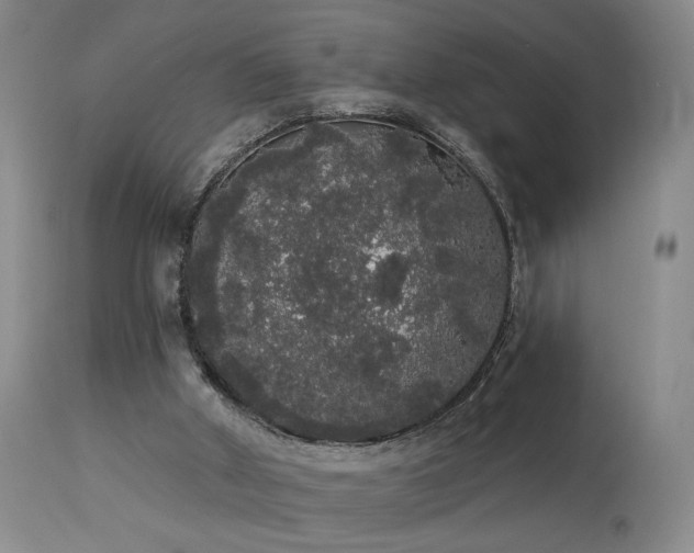 X0000113980010200910021148