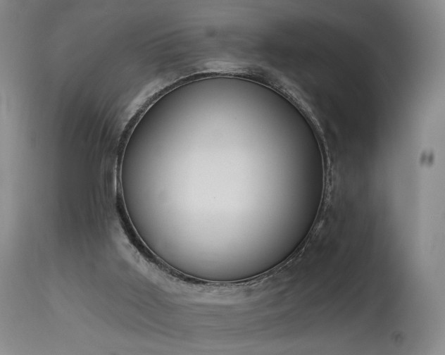 X0000113980011200910021148