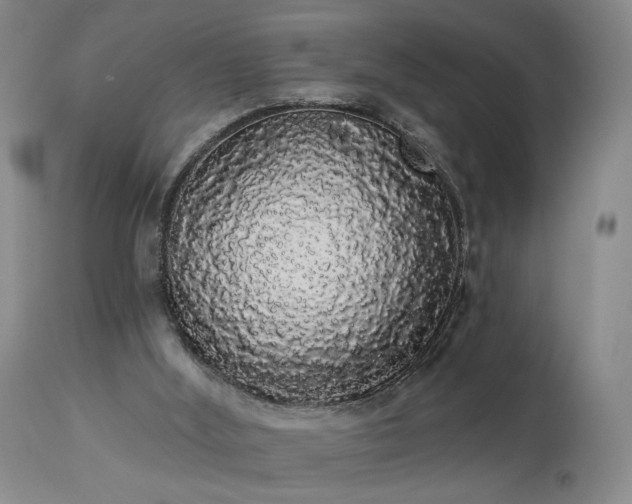 X0000113980012200910021148