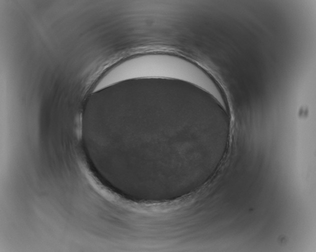 X0000113980013200910021148