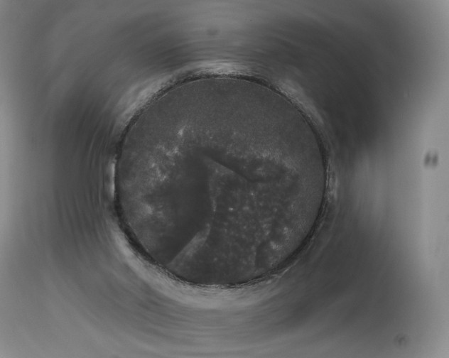 X0000113980014200910021148