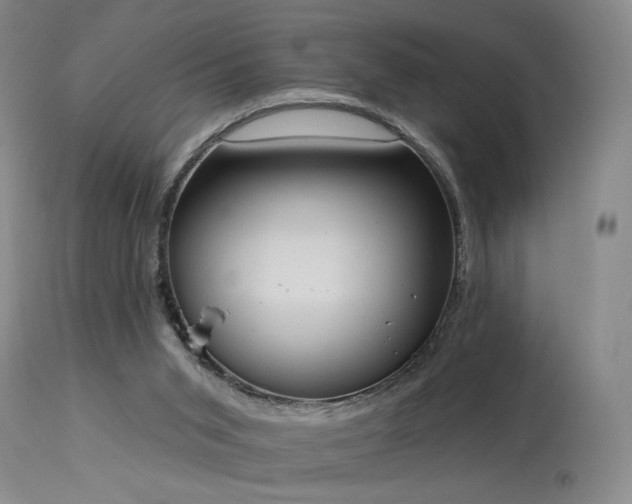 X0000113980015200910021148