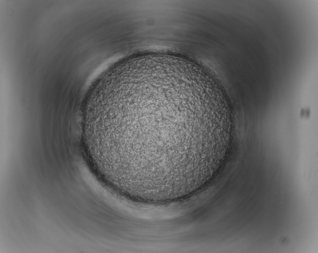 X0000113980016200910021148