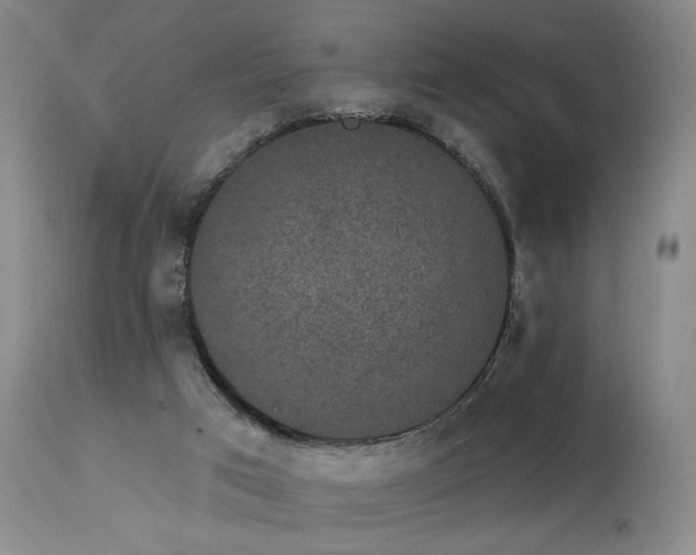 X0000113980017200910021148