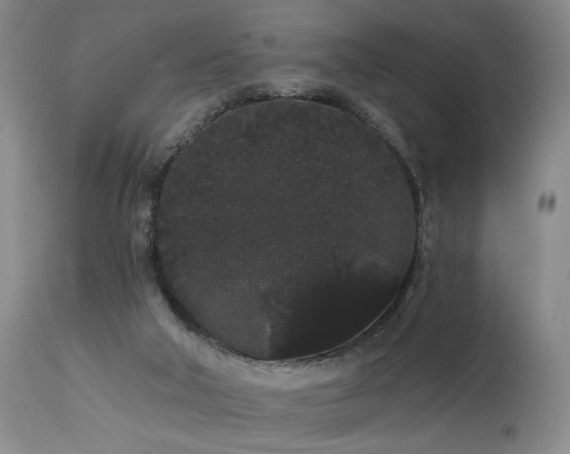 X0000113980018200910021148