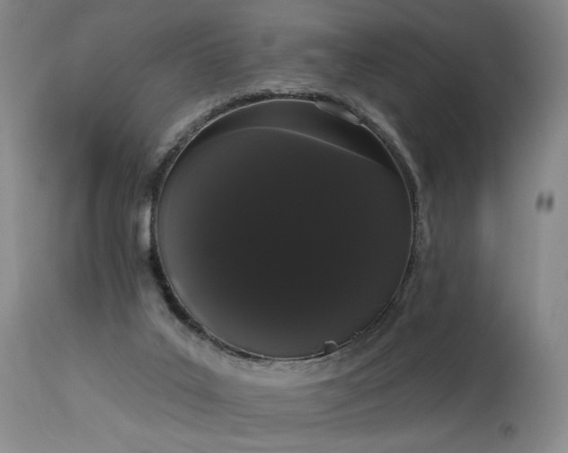 X0000113980019200910021148