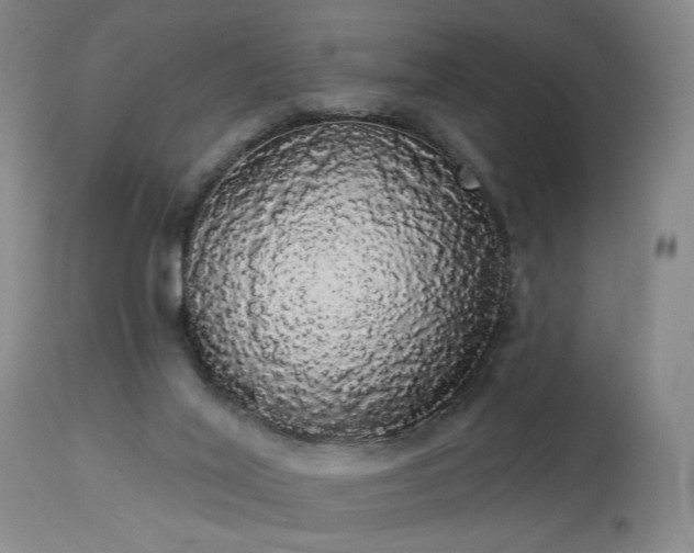 X0000113980020200910021148