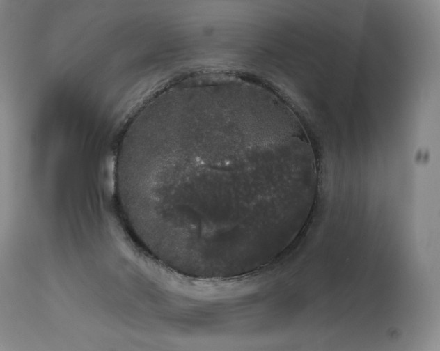 X0000113980022200910021148