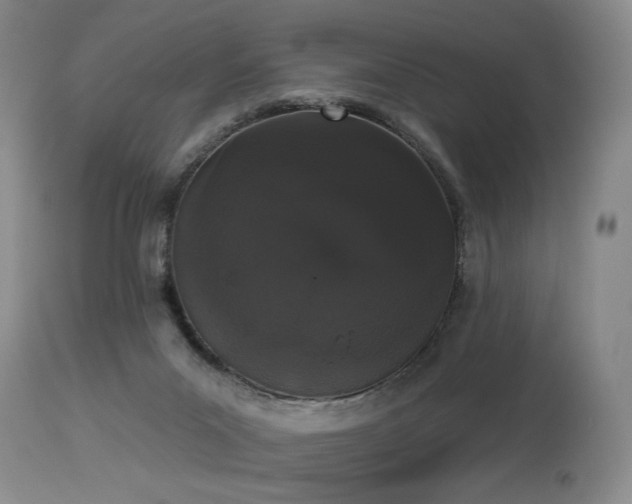 X0000113980023200910021148