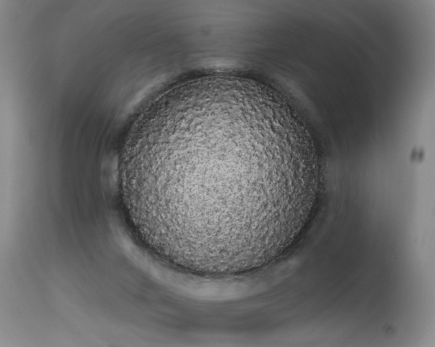 X0000113980024200910021148