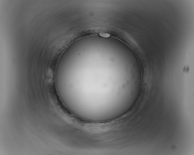 X0000113980025200910021148