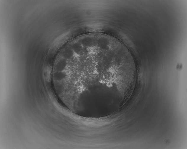 X0000113980026200910021148