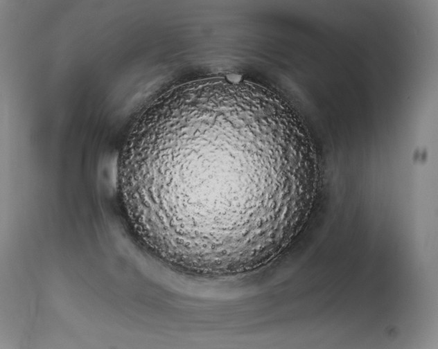 X0000113980028200910021148