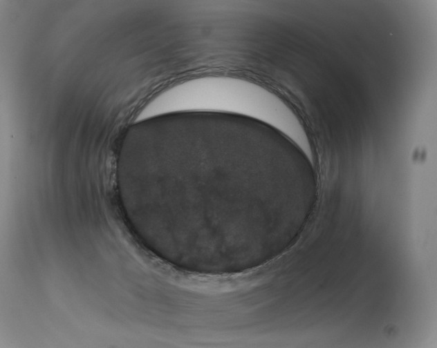 X0000113980029200910021148