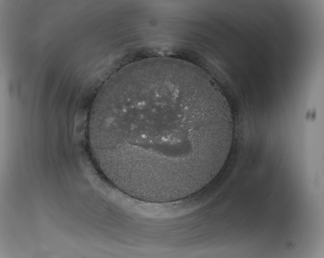 X0000113980030200910021148