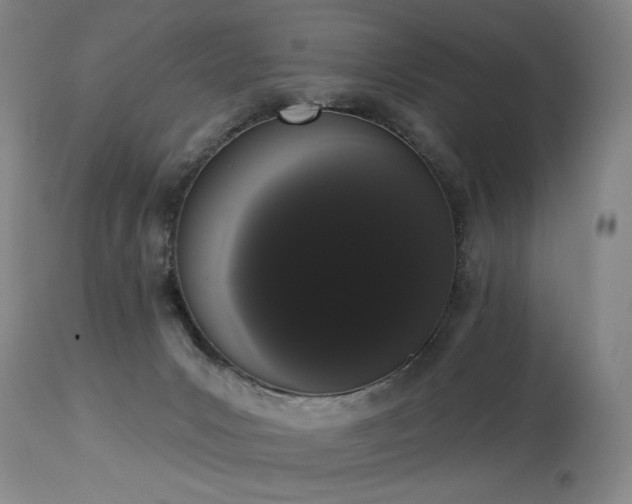 X0000113980031200910021148