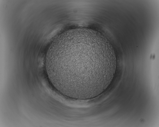 X0000113980032200910021148