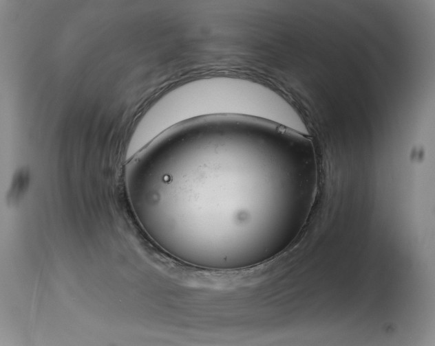 X0000113980033200910021148