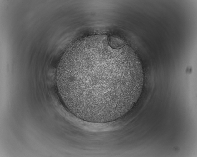 X0000113980034200910021148