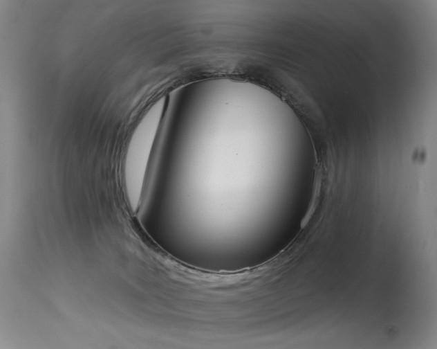 X0000113980035200910021148