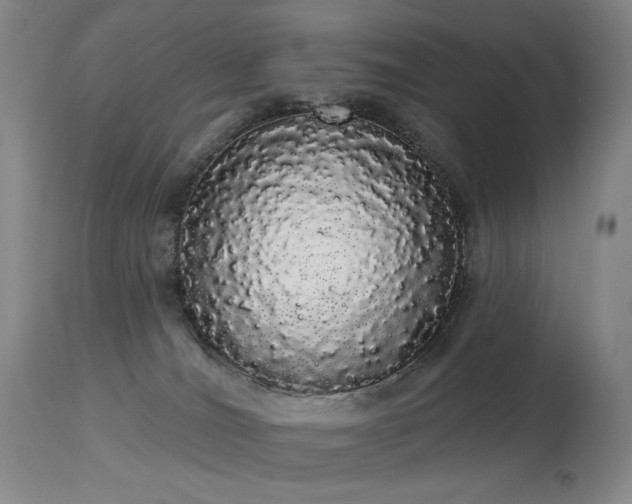 X0000113980036200910021148