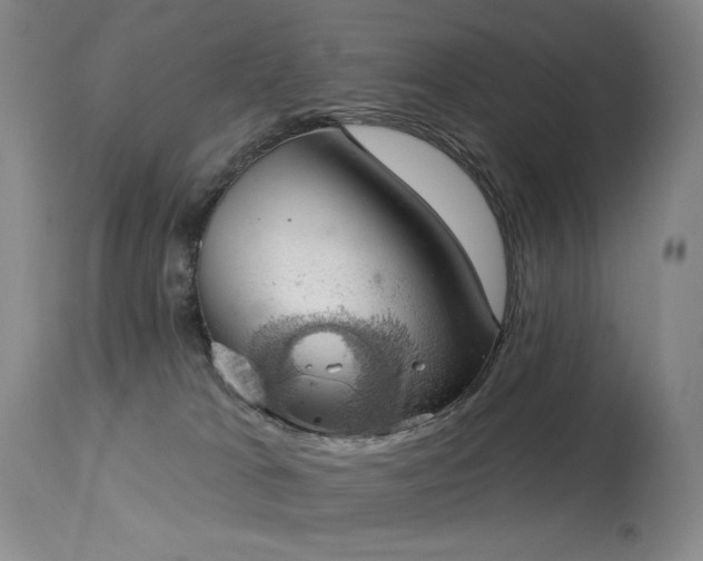 X0000113980037200910021148