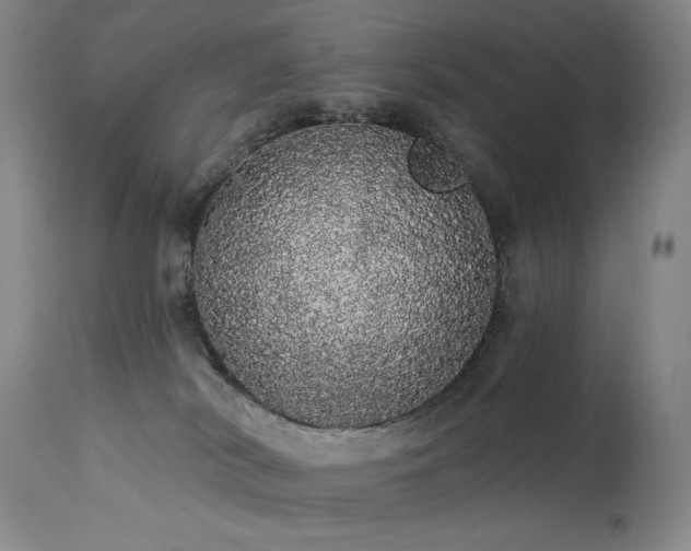 X0000113980038200910021148