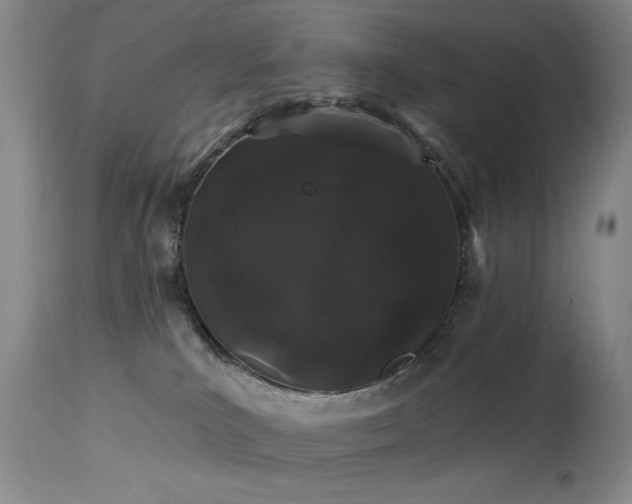 X0000113980039200910021148