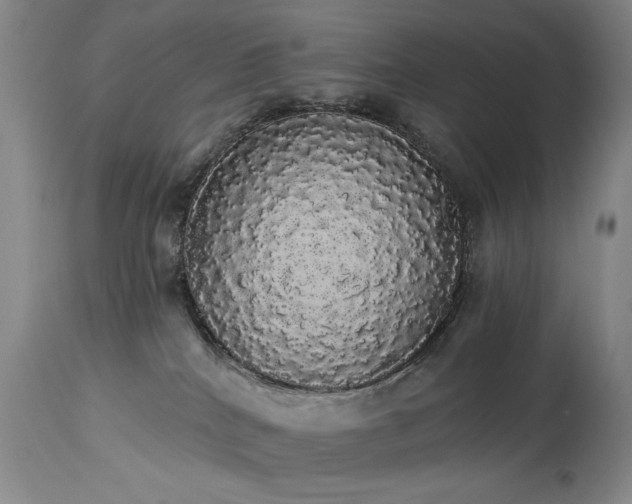 X0000113980040200910021148