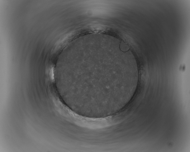 X0000113980042200910021148