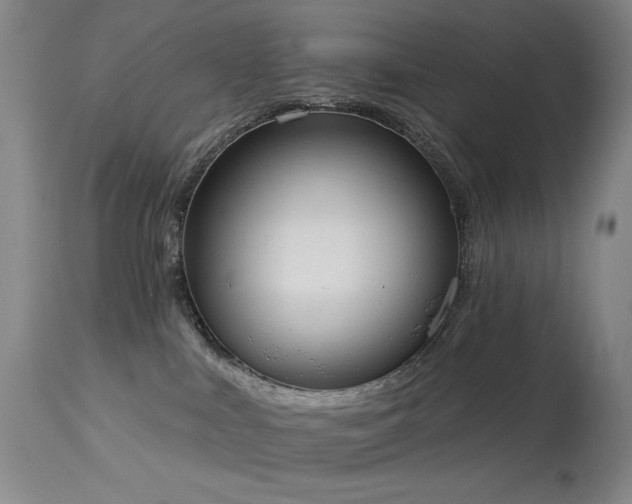 X0000113980043200910021148