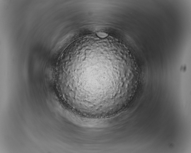 X0000113980044200910021148