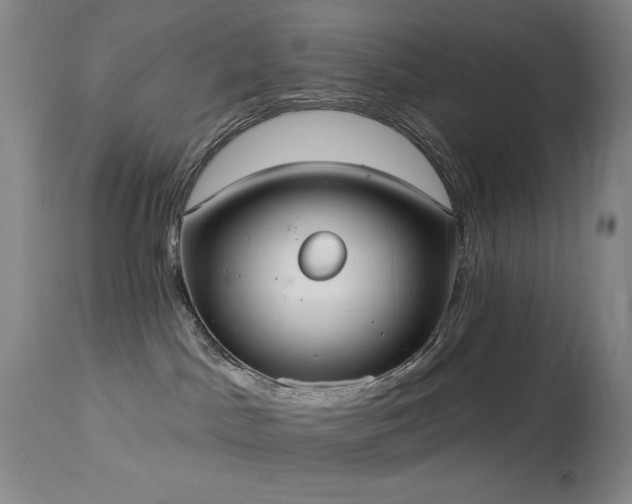 X0000113980045200910021148