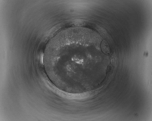 X0000113980046200910021148