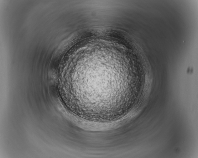 X0000113980048200910021148