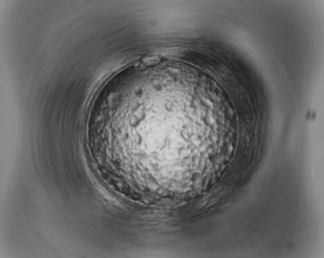 X0000113980049200910021147