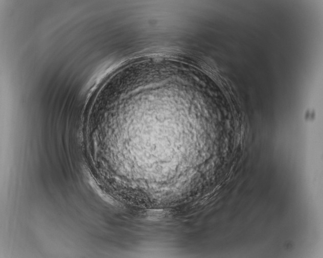 X0000113980050200910021147