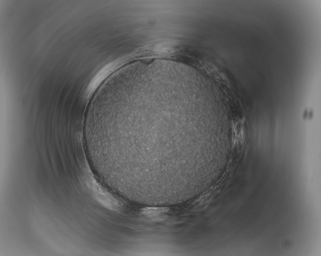 X0000113980051200910021147