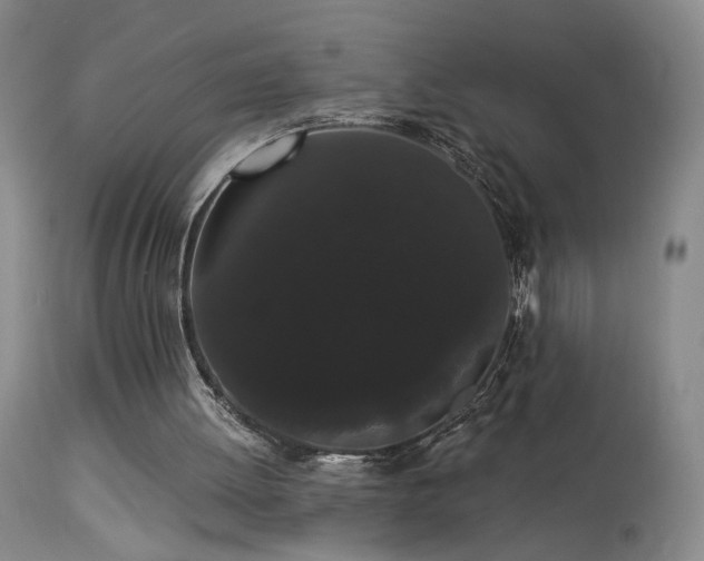 X0000113980052200910021147