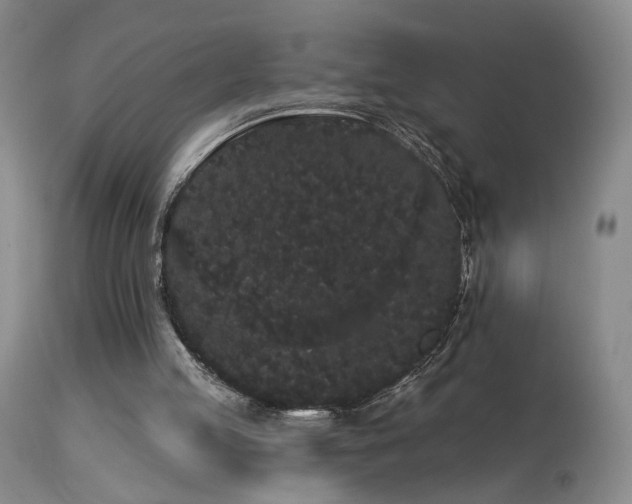 X0000113980053200910021147