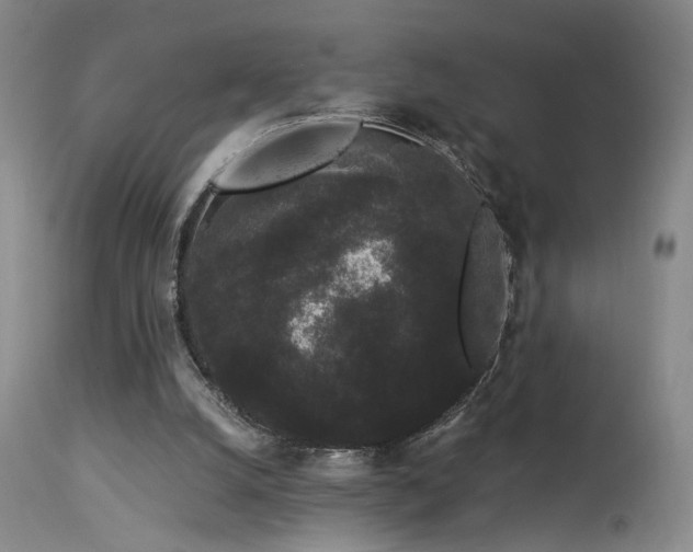 X0000113980056200910021147