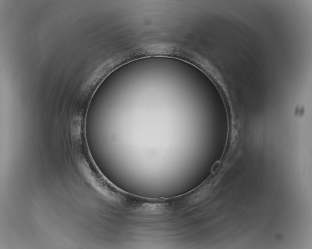 X0000113980057200910021147