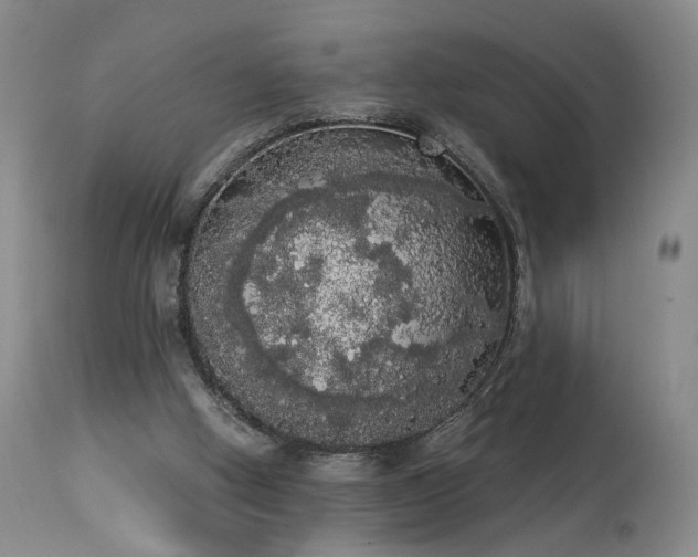 X0000113980058200910021147