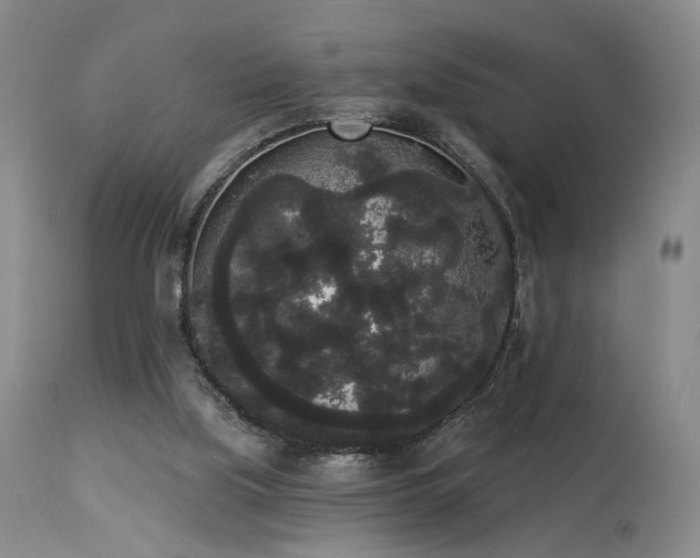 X0000113980059200910021147